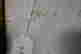 item-131455179=4