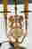 item-131455208=2
