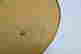 item-131455208=7