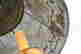 item-131455208=8