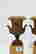 item-131455365=2