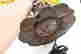 item-131455639=6