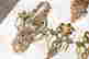 item-131455641=5