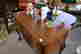 item-131455721=3