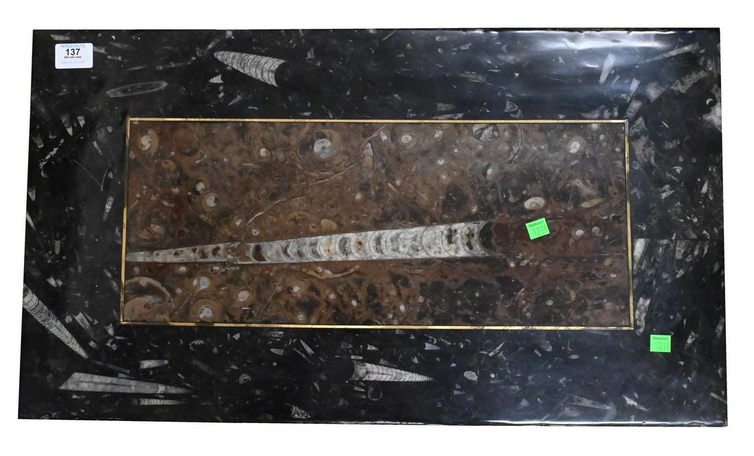 Rectangle Polished Stone Fossil Slab (1 of 4)