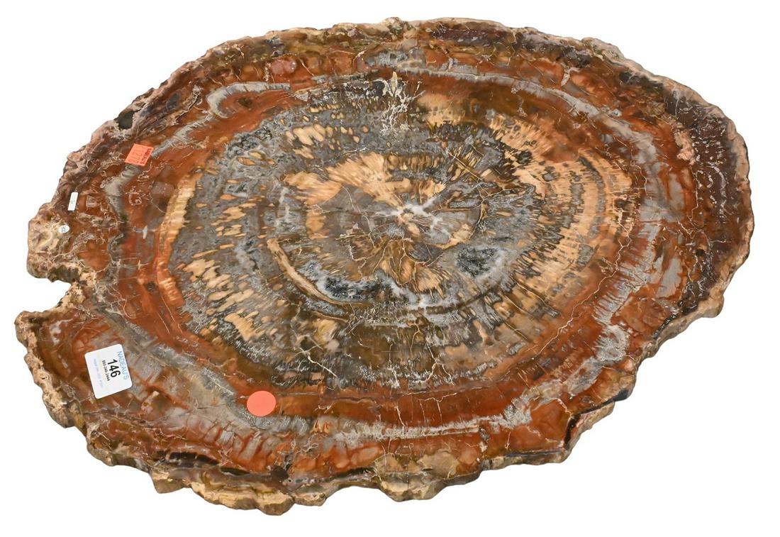 Round Petrified Wood Slab (1 of 4)