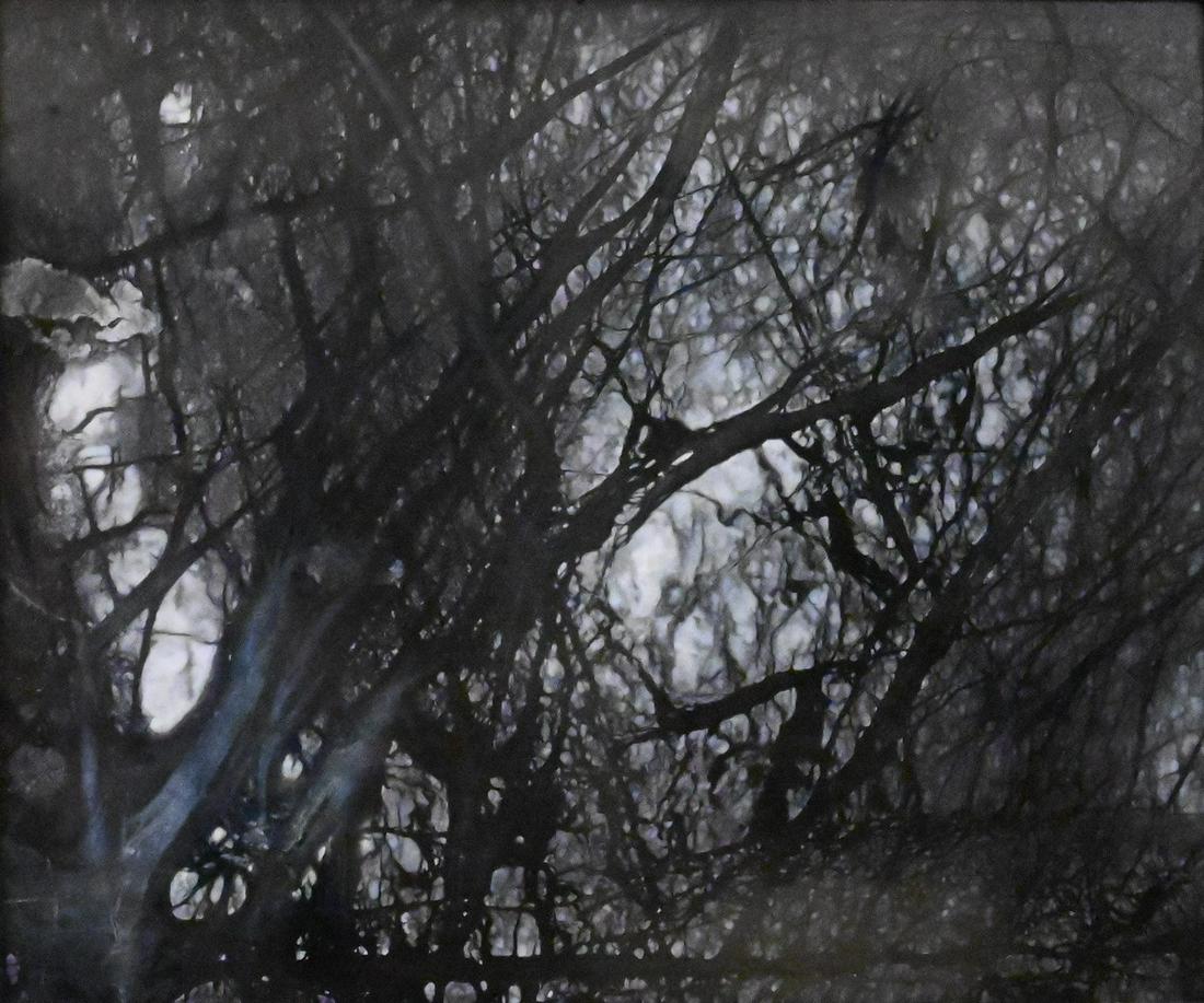 Framed Chinese Scholar's Dream Stone (1 of 3)