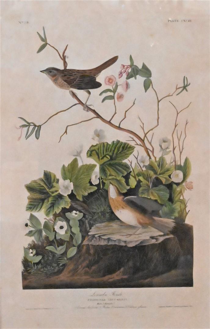 John James Audubon (American, 1785 - 1851) (1 of 5)