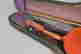 item-135605225=5