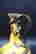 item-137378007=2