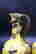 item-137378007=3