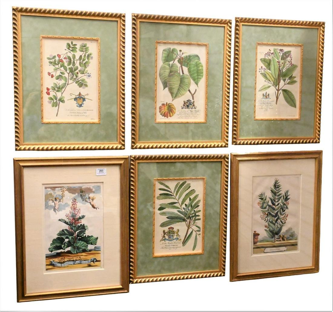 Group of Six Botanical Engravings and Prints (1 of 5)