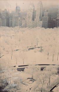 Ruth Orkin (American, 1921 - 1985): Ruth Orkin (American, 1921 - 1985), photograph/print, 'White Trees, Central Park South', 1958, faded, 31 1/2" x 20 1/2".