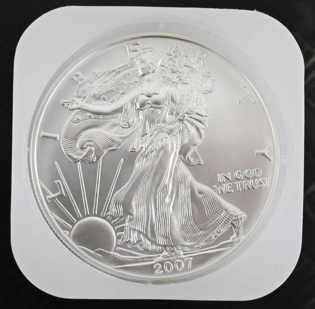 Roll of 20-2007 1oz Silver American Eagle Dollar Coins BU (1 of 1)