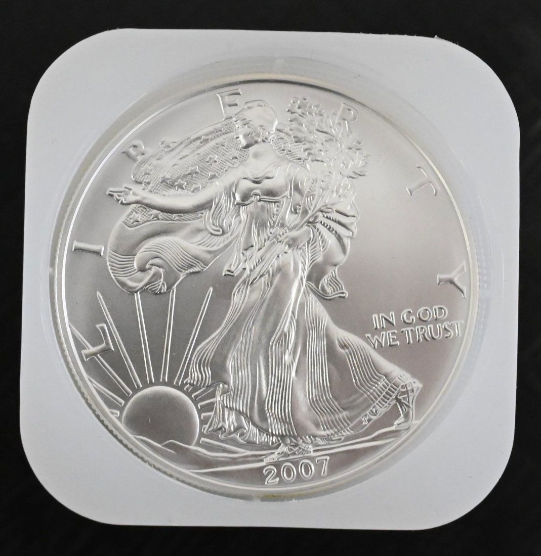 Roll of 20-2007 1oz Silver American Eagle Dollar Coins BU (1 of 1)