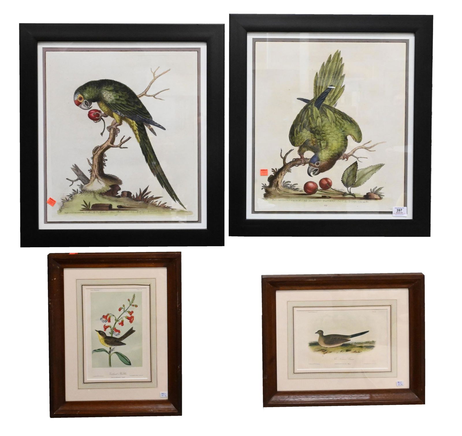 Eight Piece Framed Bird Grouping (1 of 8)