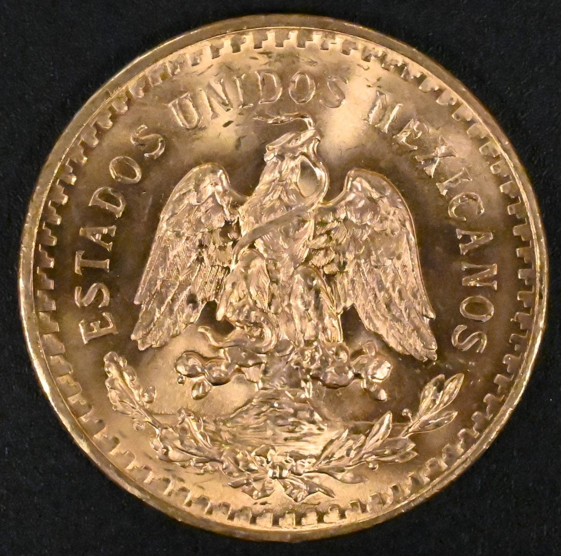 Gold 50 Peso Coin (1 of 2)