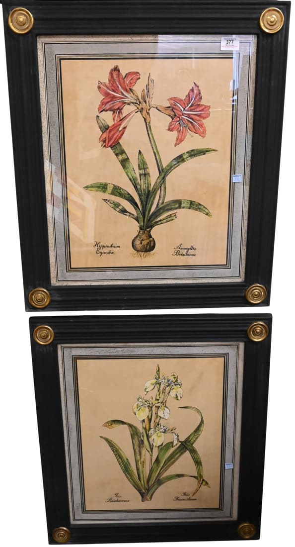 Three Hand Painted Botanicals on Antique Paper (1 of 4)