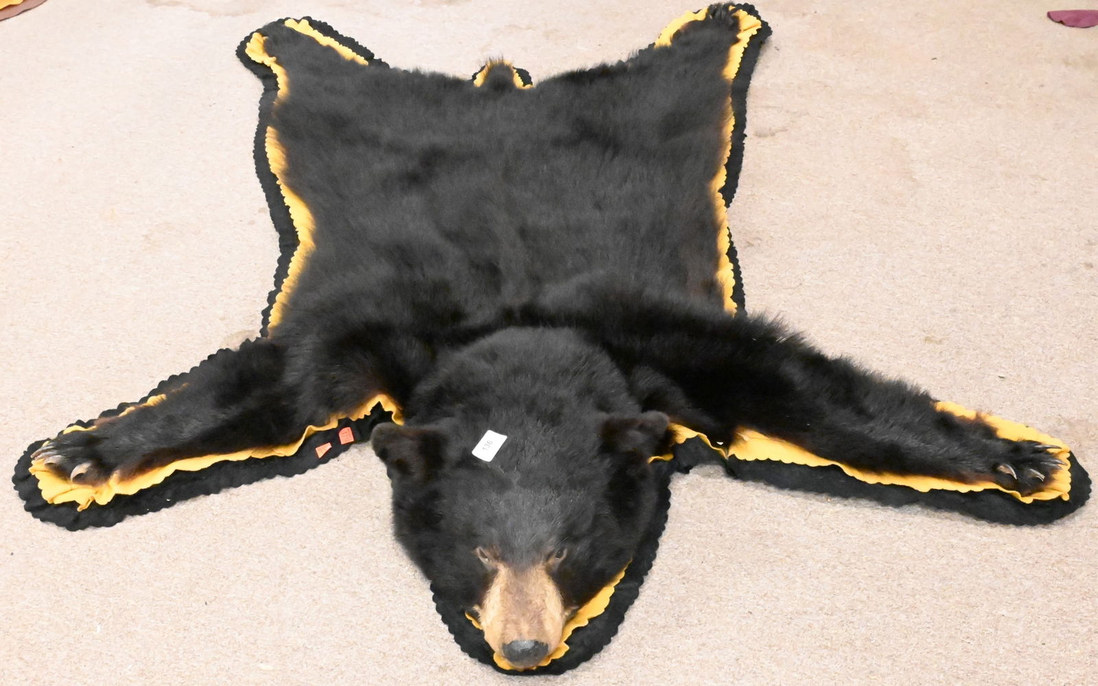 Taxidermy Black Bear Skin with Mounted Head (1 of 5)