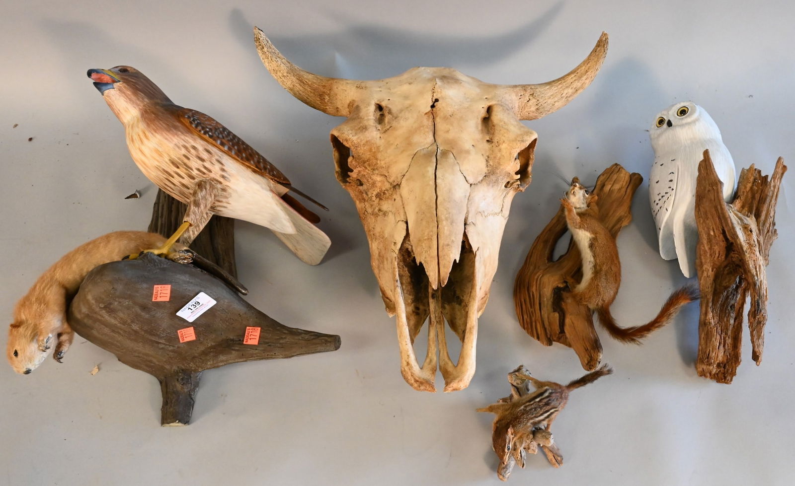 Five Piece Animal Group (1 of 6)