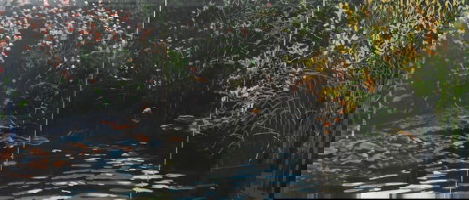 Daniel Morper (American 1944-2016)