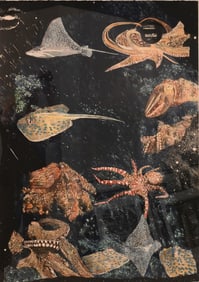 Ann McCoy (American B.1946)