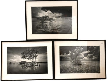 Three: Clyde Butcher (American B.1942)