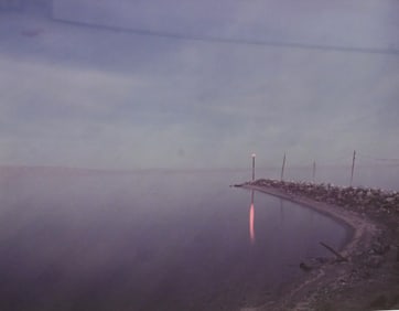 Richard Misrach (American B.1949)