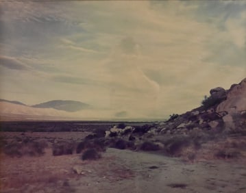 Richard Misrach (American B.1949)