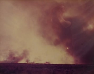 Richard Misrach (American B.1949)