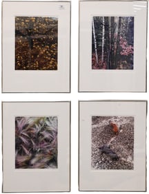 Ten: Eliot Porter (American 1901-1990) from "Intimate Landscapes" Suite