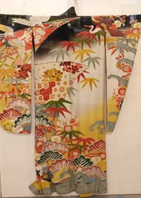 Chinese Robe