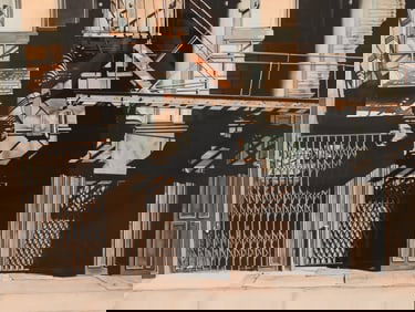 John Murray (20th Century)