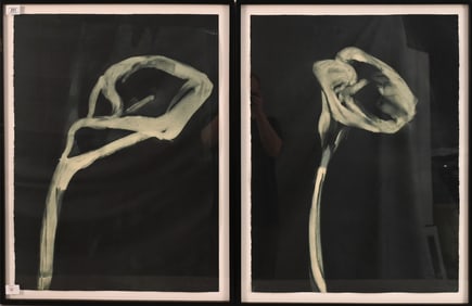 Two: Michael Mazur (American 1935-2009)