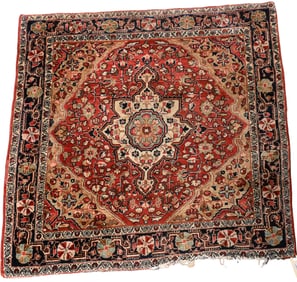 Sarouk Oriental Throw Rug