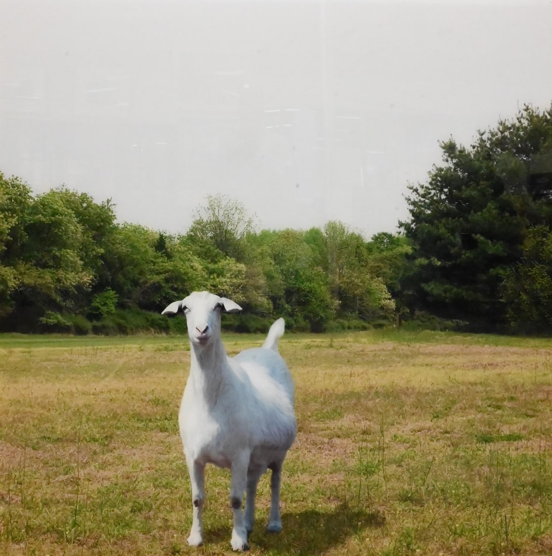 Eileen Neff (American B.1945) (1 of 6)