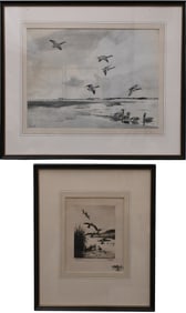 Three Framed Bird Prints