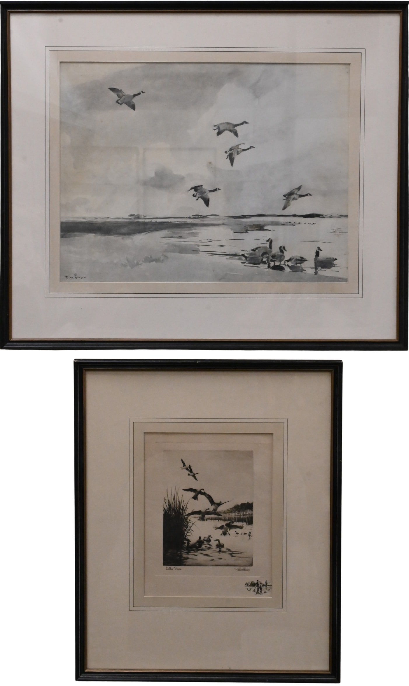 Three Framed Bird Prints (1 of 6)