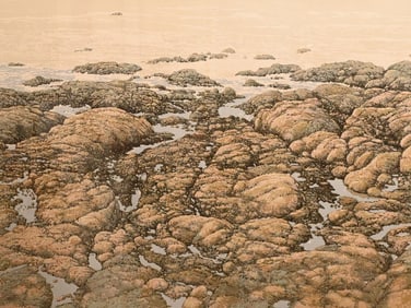 Peter Holbrook (American B.1940)