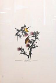 After John James Audubon