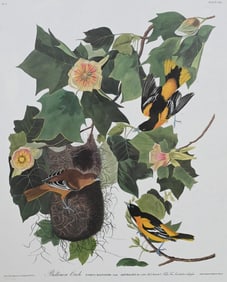 After John James Audubon (American 1785-1851)