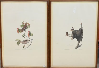 Two: After John James Audubon (American 1785-1851)