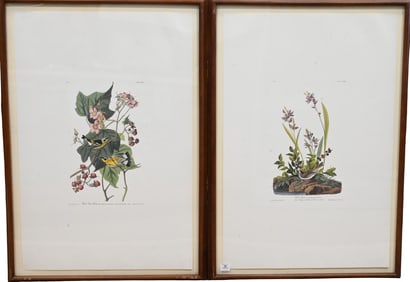Two: After John James Audubon (American 1785-1851)