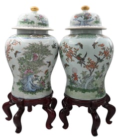 Pair of Chinese Daoguang Style Porcelain Jars