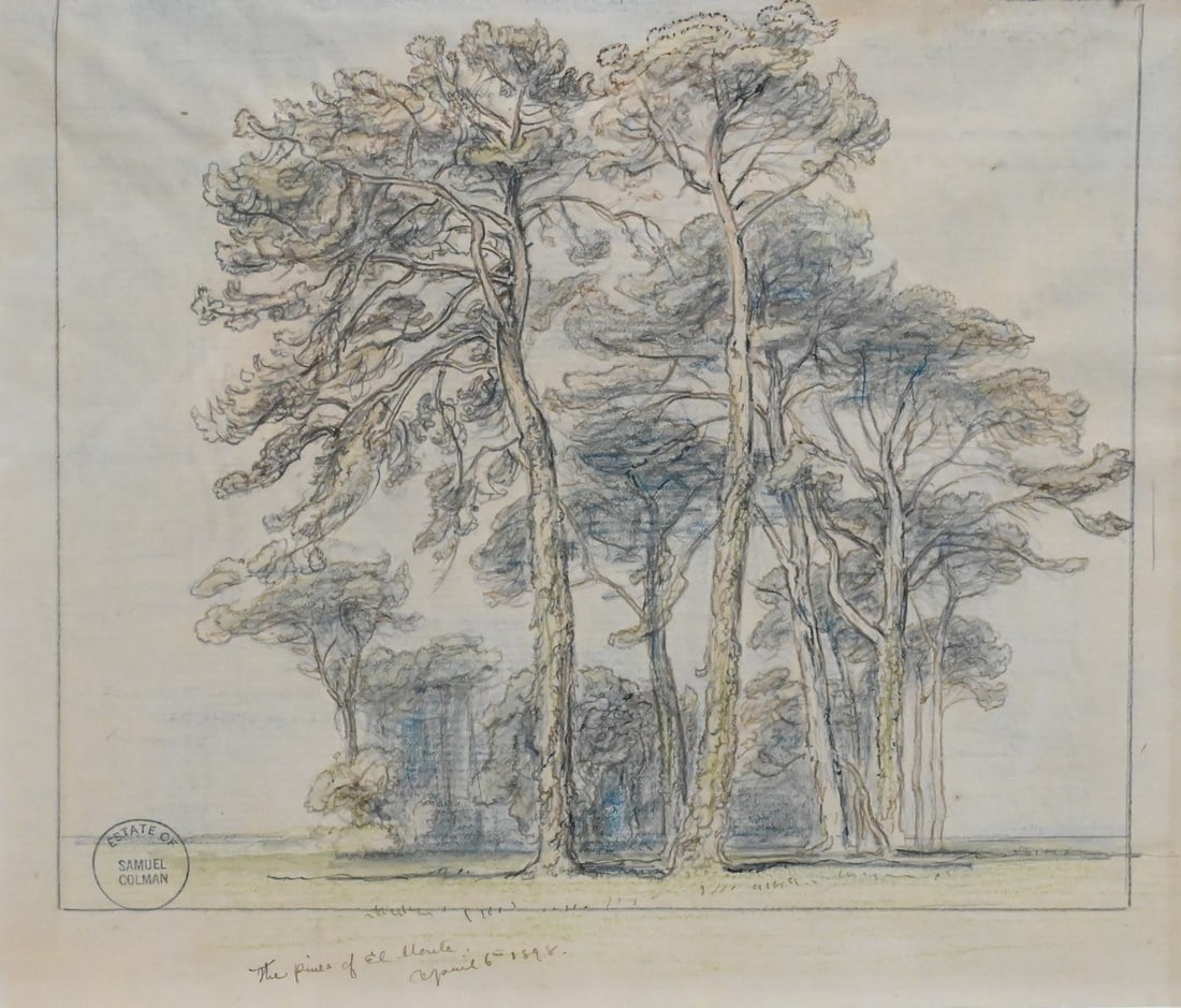 Samuel Colman (American 1832-1920): Samuel Colman (American 1832-1920) "The Pines of El Monte: April 6th 1898" Colored pencil, ink on laid paper Estate of Samuel Colman stamp lower left Inscribed lower left with title and date 8" x 9"