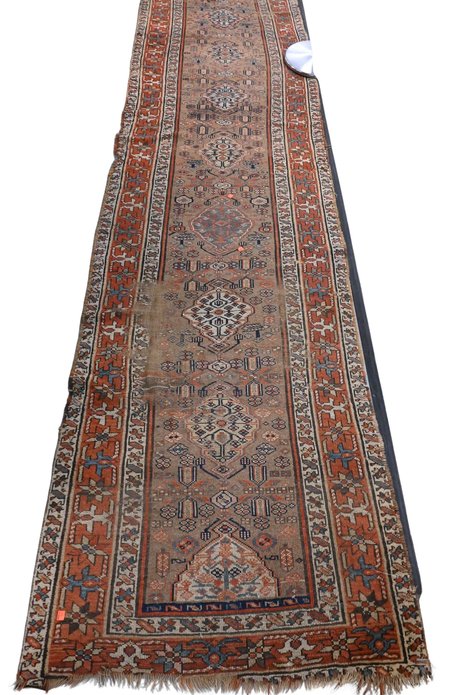 Northwest Persian Oriental Runner (1 of 5)