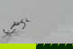 item-204842546=2