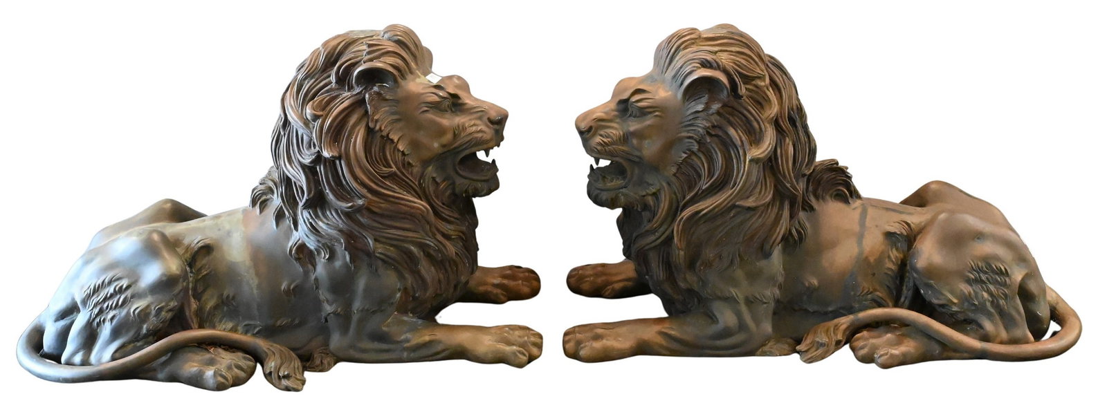 Pair of Large Contemporary Cast Bronze Recumbent Lions: Pair of Large Contemporary Cast Bronze Recumbent Lions in brown patina having open mouths baring teeth length 45 inches, height 30 inches Provenance: Estate of Stephen F. Osborne, 2185 South Easton Ro