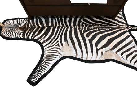 Vintage Zebra Hide Taxidermy Rug