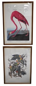 Two John James Audubon (American 1785-1851)